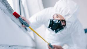 Real Estate Pest Inspections in Brenham, TX